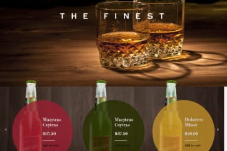 create night club and bar website design