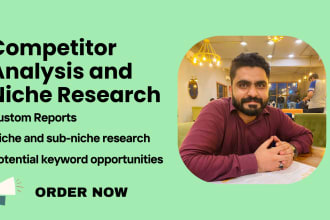 do the competitor analysis and niche research
