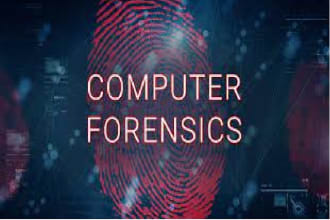 do system forensics and generate report