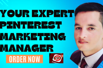 be your professional pinterest marketing manager