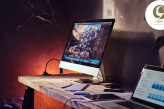 be your business or requirements analyst and project manager