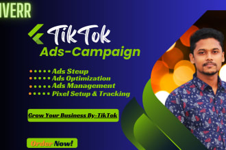 setup and manage tiktok ads, tiktok pixel to grow your business