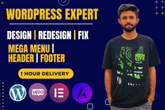 fix wordpress issues, errors, bugs and layout issues