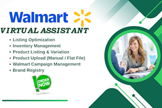 create and optimize walmart listings, walmart seo, wfs and bulk listings, PPC