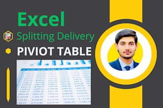 do excel data splitting and organization expert