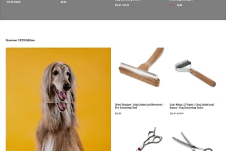 move shopify or migrate shopify website