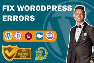 fix wordpress bugs, issues or errors