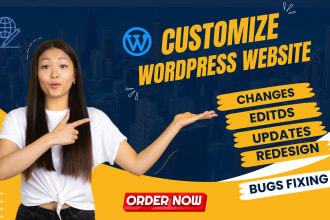 revamp, enhance, edit and customize your wordpress website