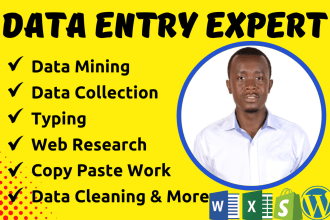 do data entry, data mining, web research, typing, data collection, copy paste