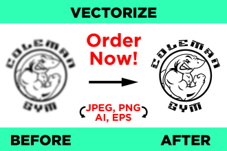 vectorize, fix, or edit your logo in high definition