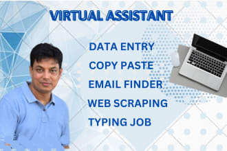 serve prime data entry, copy paste, typing job, web research and email finding