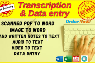 type scanned documents into word and provide other typing services