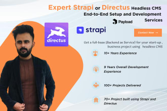 directus headless cms strapi sanity contentful  cms for your website  app idea