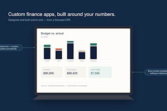 build a custom finance or business app or analysis tool as a licensed CPA
