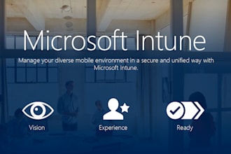provide free consulting in intune and m365