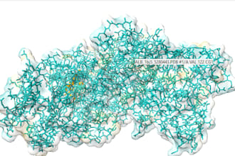 do molecular docking and MD simulation