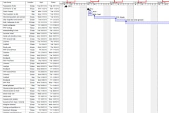 tutor project management and ms project