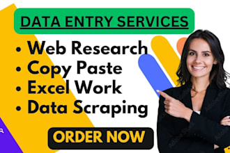 do data entry, copy paste job, web research, data mining