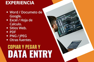 seré tu data entry en español