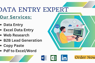 do professional data entry, web scraping, excel data entry