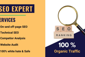 do seo audit and website optimization for wordpress, shopify