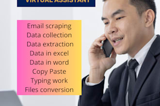 do fastest data entry, typing tasks and proofread your file