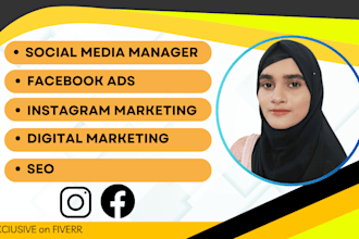 do social media marketing, fb and ig ad campaigns