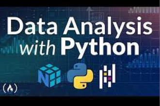 perform data analysis and present results in a report