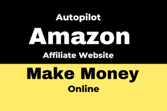 build automated amazon website or store to make money online