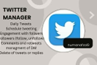 be your expert twitter manager