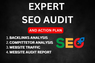 advance site SEO audit report, website audit report