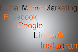 be a digital marketing maneger for your business