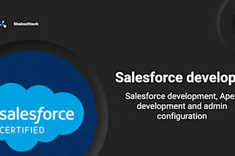 be your salesforce developer, admin, and consultant