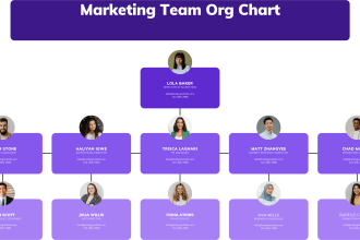 create professional organizational and workflow charts