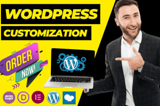 modify, edit, and help with wordpress changes in just 24 hrs