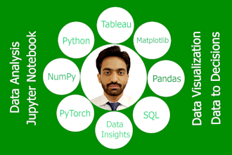 provide professional data science, ai, and machine learning services
