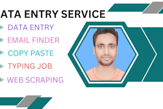do professional data entry, web research, web  scraping and copy paste jobs