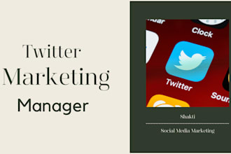 twitter marketing and promotion with organic growth daily