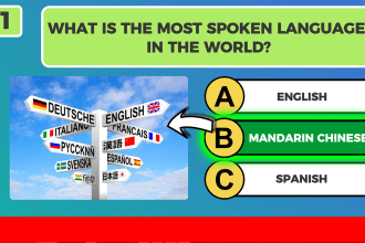 create quiz, quizzes, trivia questions youtube videos