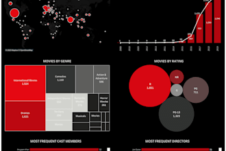 provide support for tableau visulization for you