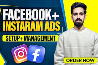 setup facebook and instagram ads campaigns,  meta ads campaigns