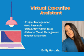 be your executive virtual assistant for any admin tasks