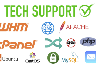 setup, fix, migration, domain, SMTP, PHP, SSL certificates