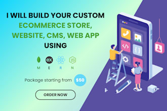 build your custom ecommerce store, website, cms or web app