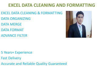 do microsoft excel data cleaning, sorting, filtering, format, organize CSV data