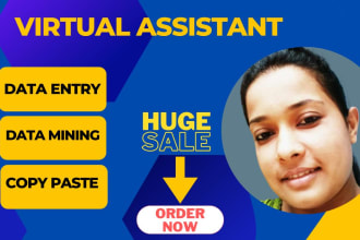 be your virtual assistant, copy paste, and data collector