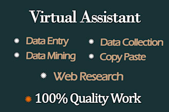 be VA for data entry, web research and lead generation