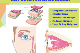 make scientific figures, illustration and graphical abstracts diagram
