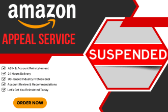write amazon appeal for amazon account reinstatement