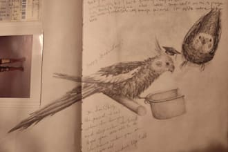 draw or paint a portrait of a pet
